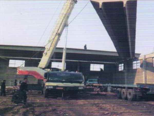 通遼市開發(fā)區雙跨24米雙坡T板